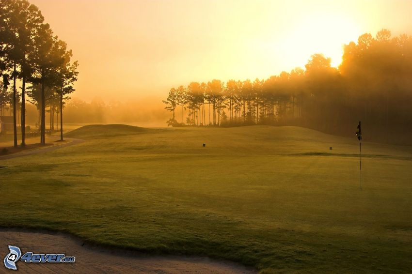golf course, sunbeams