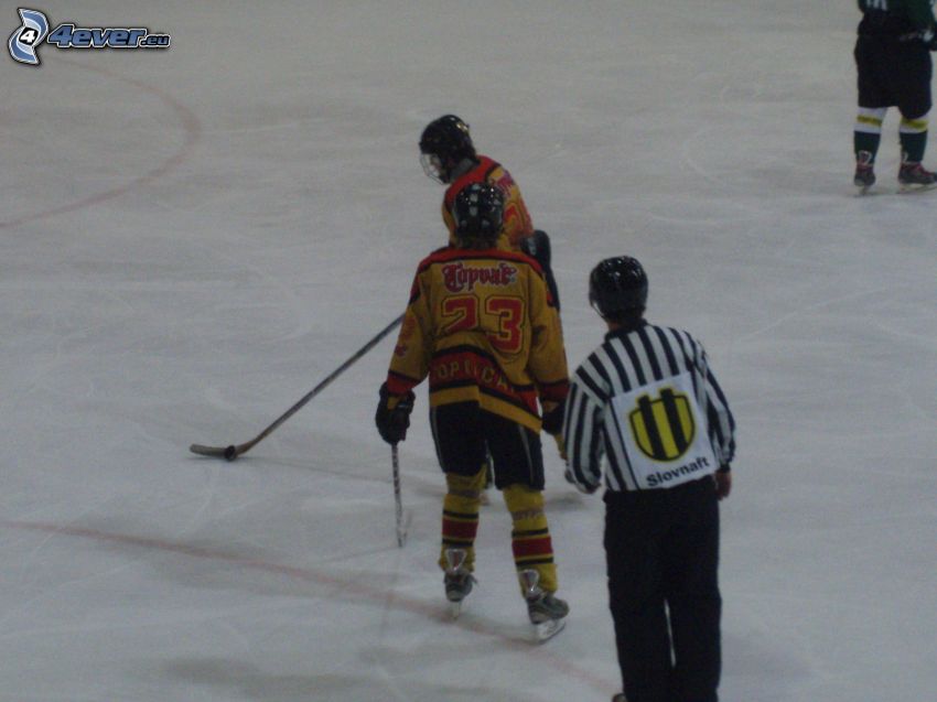 hockey, ice, referee