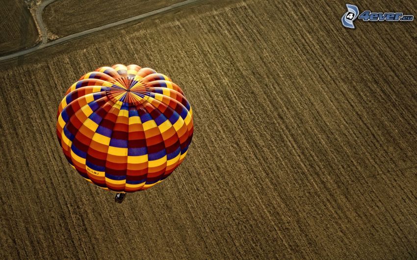 hot air balloon, field