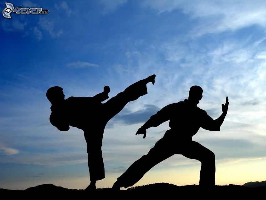 judo, silhouettes of people