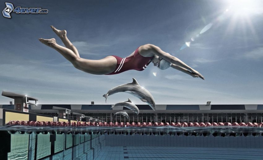jump into the pool, swimmer, dolphins, sun