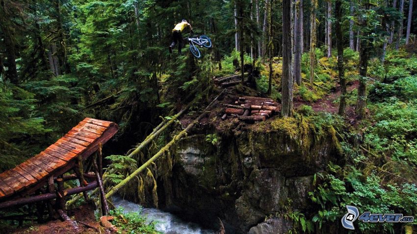 jump on bike, forest, forest creek