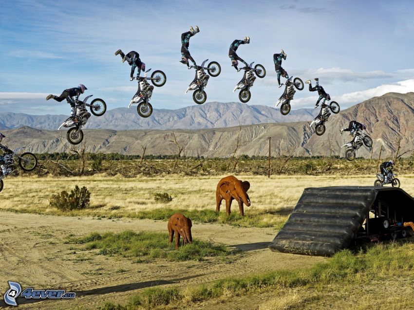 jump on motorcycle, acrobatics, elephants, mountain