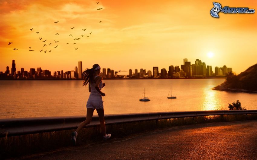 running, silhouette of the city, sea, flock of birds, yellow sky