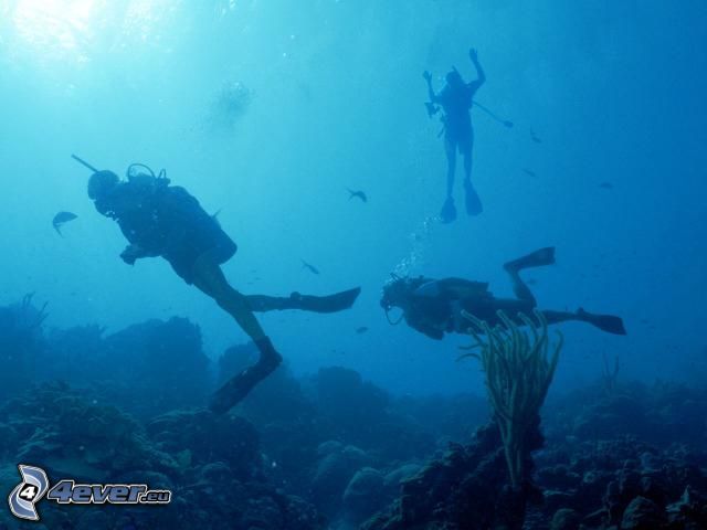 sea, divers