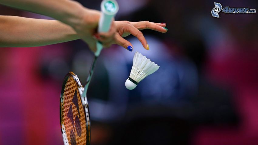 shuttlecock, badminton racket, hands