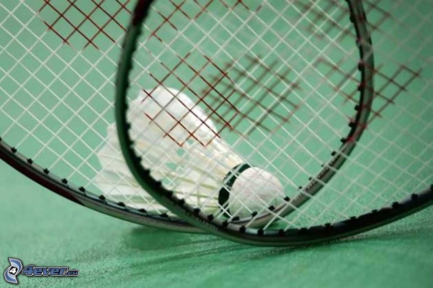 shuttlecock, badminton racket