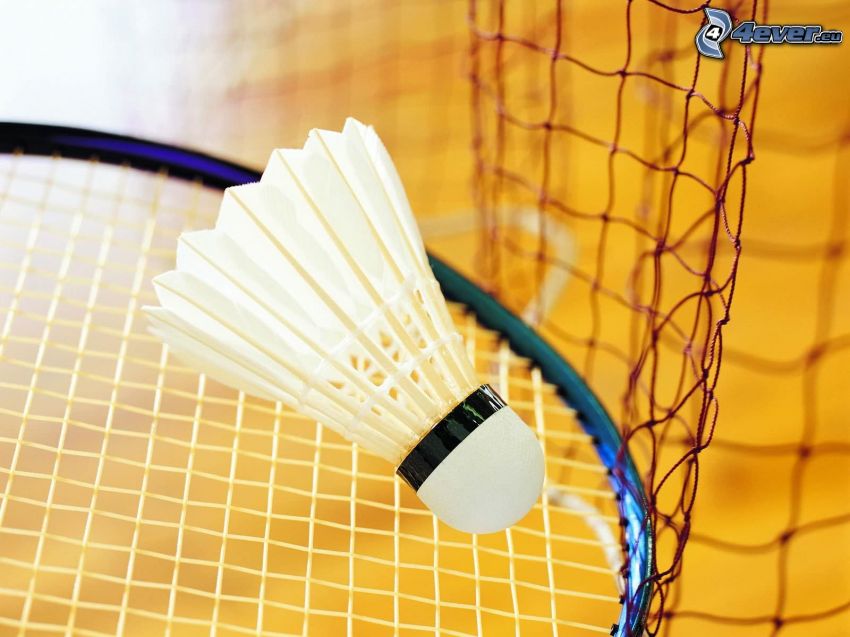 shuttlecock, racket, badminton