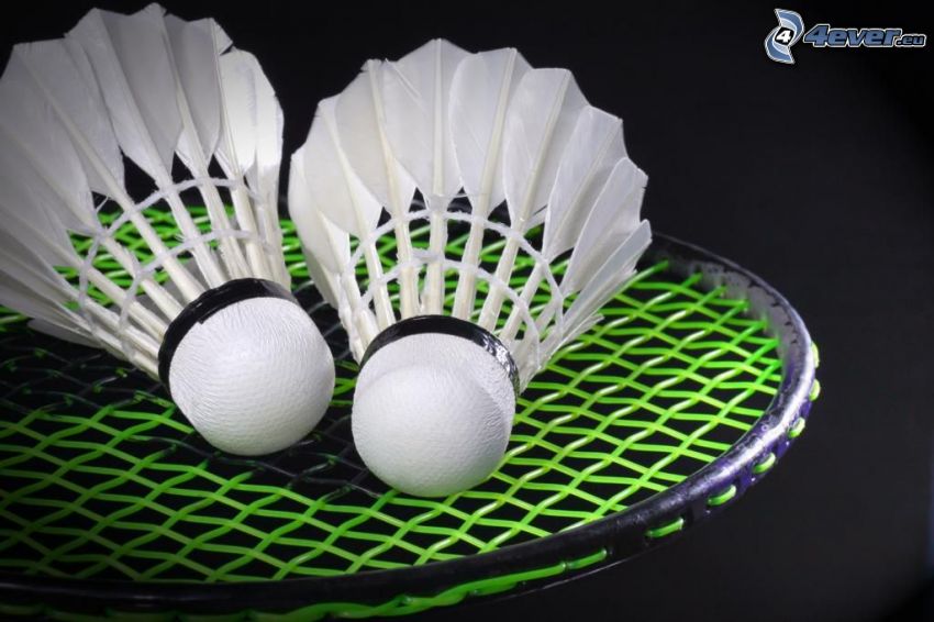 shuttlecocks, badminton racket