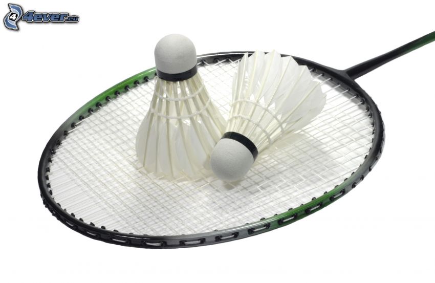 shuttlecocks, badminton racket