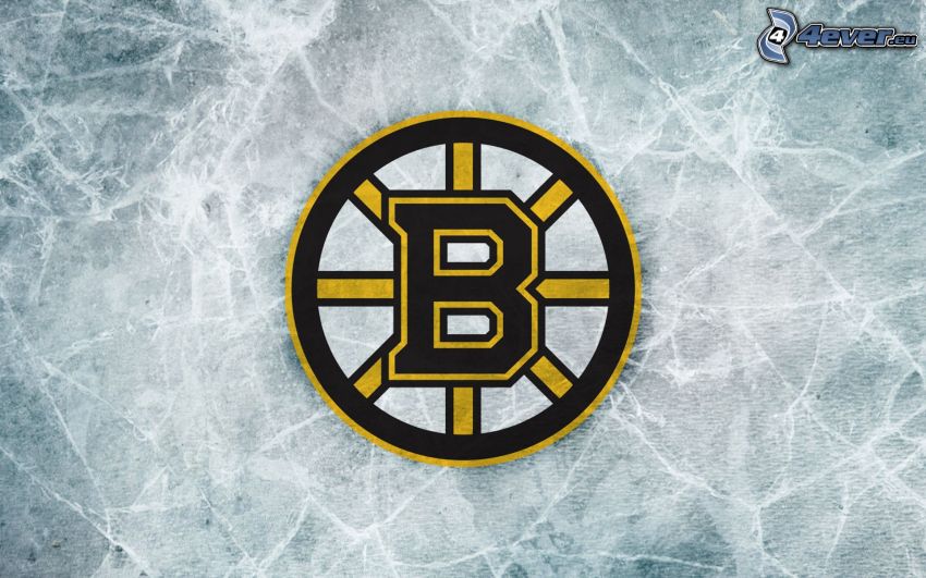 Boston Bruins, logo, NHL