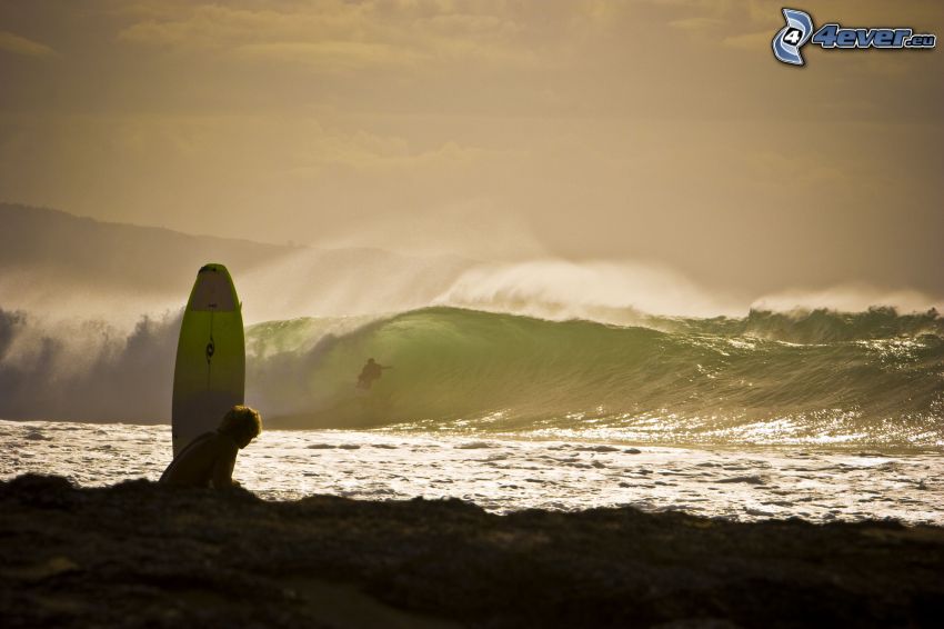 surfer, rough sea, wave