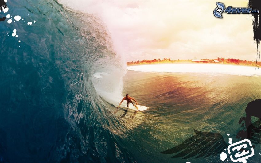 surfing, wave