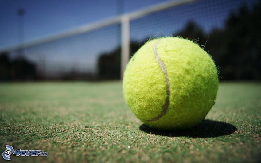 tennis ball, net