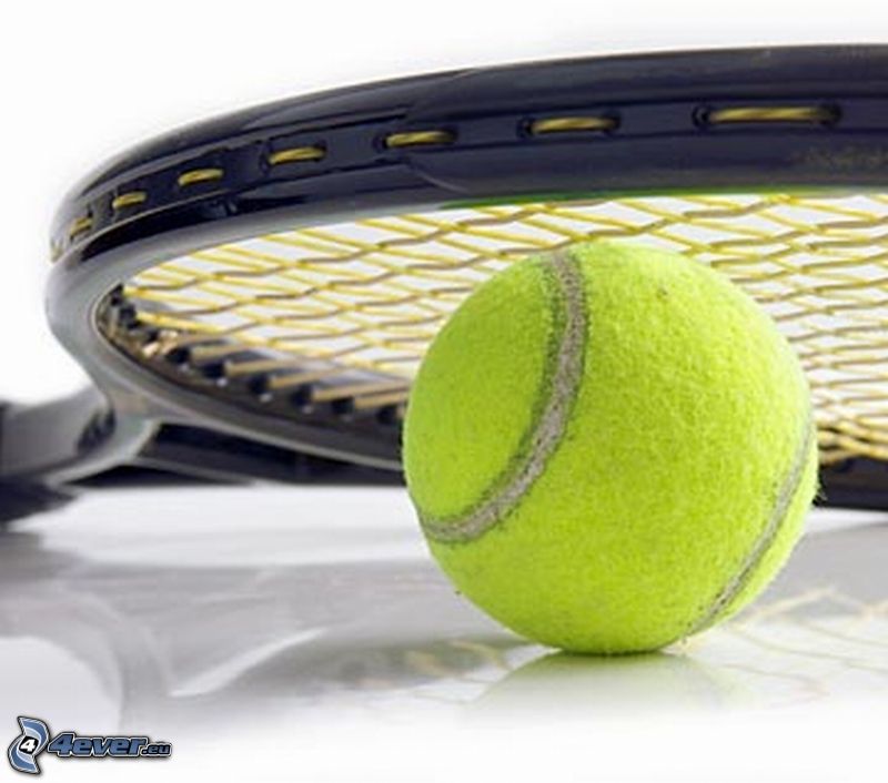 tennis ball, tennis racket