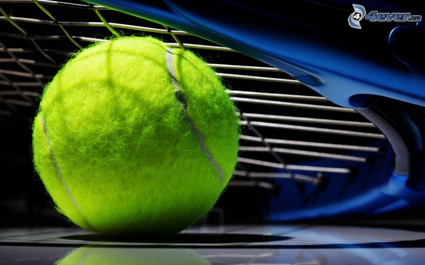 tennis ball, tennis racket