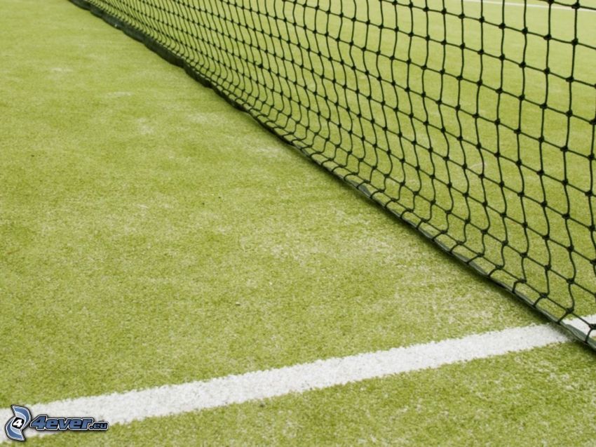 tennis courts, net