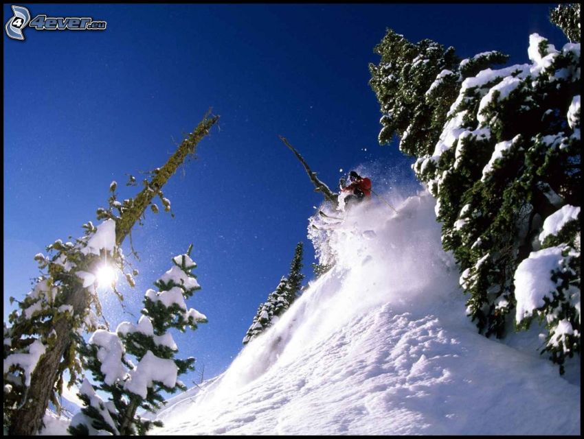 extreme skiing, snow, snowy forest