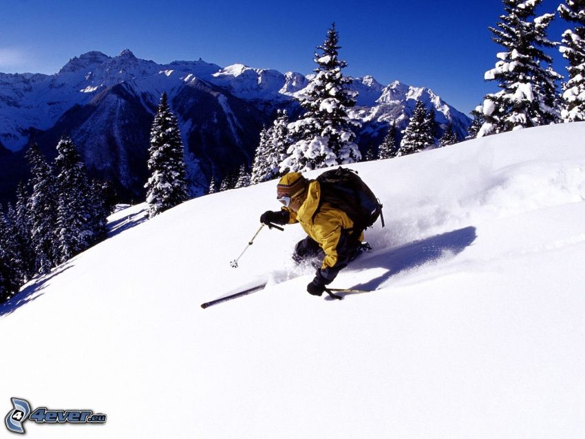 extreme skiing, snowy trees, snowy mountains