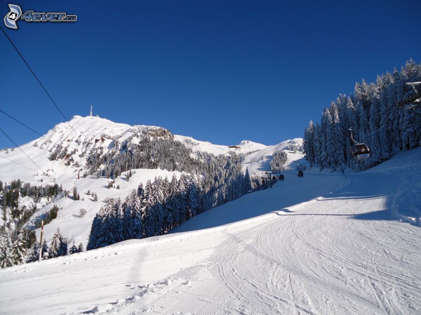 ski slope, snowy trees, hill