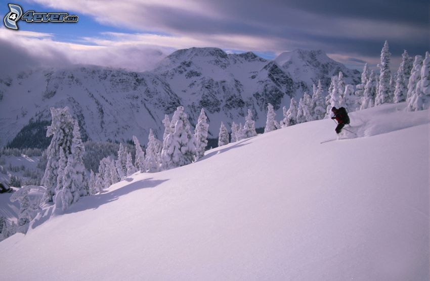 skiing, snowy landscape