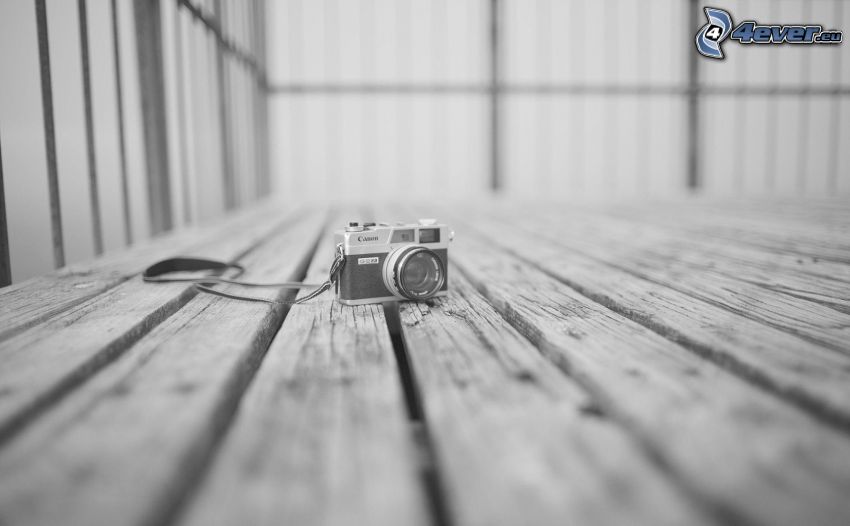 camera, Canon, black and white, wooden floor