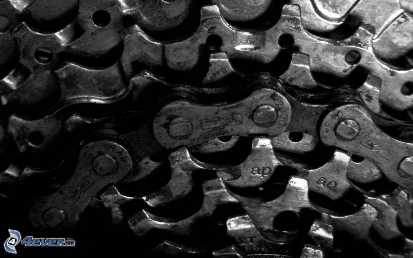 gears, chain, bicycle