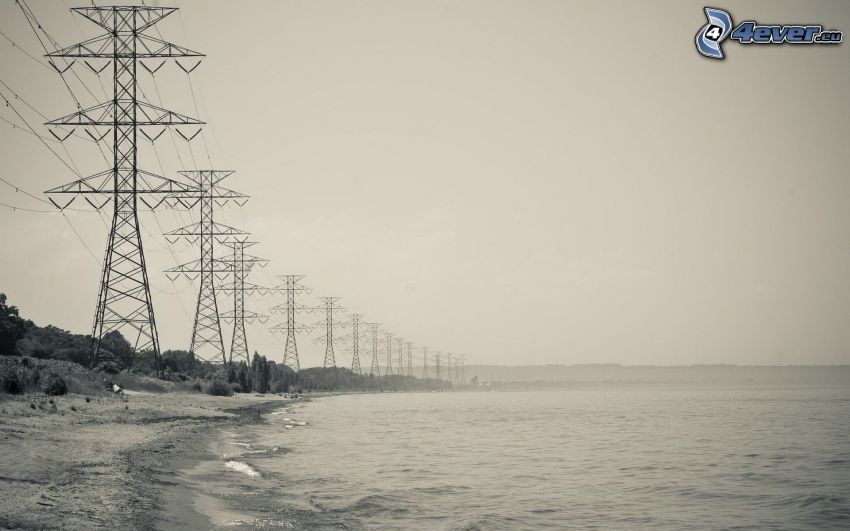 power lines, beach, sea, black and white photo