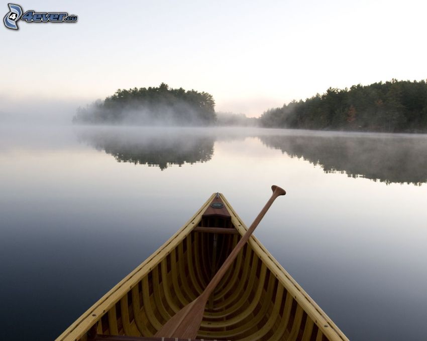 canoe, River, trees