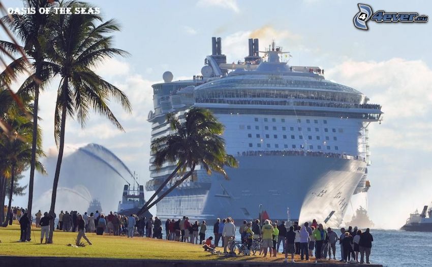 cruise ship, people, coast, palm trees