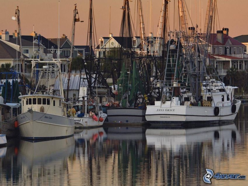 harbor, ships