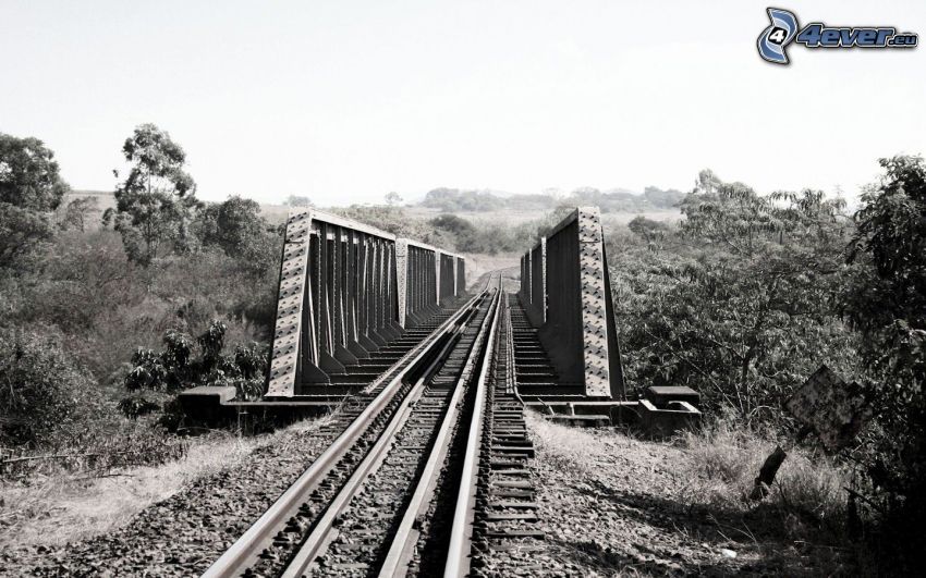 railway bridge, rails