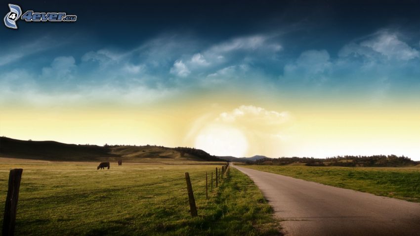 road, meadows, sky, fence