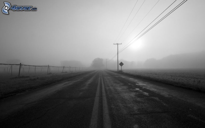 road, power lines, fog, black and white photo