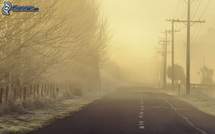 road, power lines, trees, fog