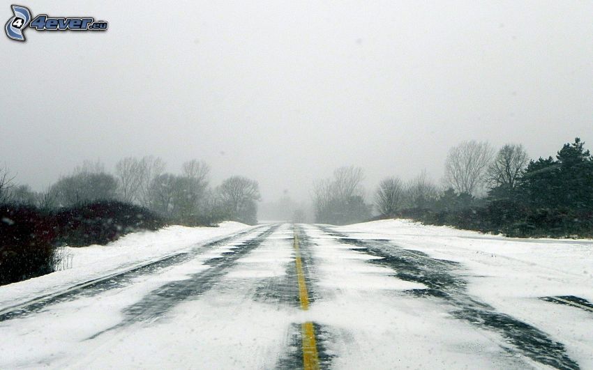 snow-covered road, trees