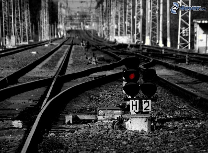 rails, railroad switch, black and white photo