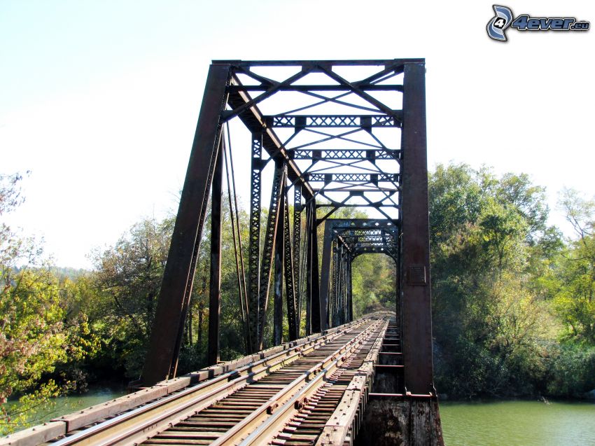 railway bridge, forest, River