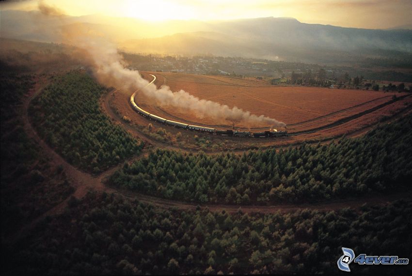 Rovos Rail, steam train, aerial view, railway, forest