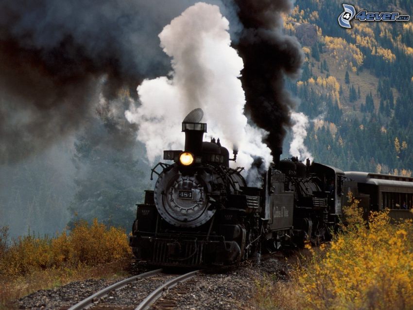 steam train, forest, smoke