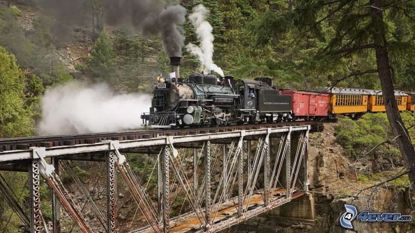 steam train, iron bridge, forest