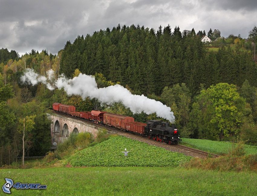 steam train, smoke, stone bridge, forest
