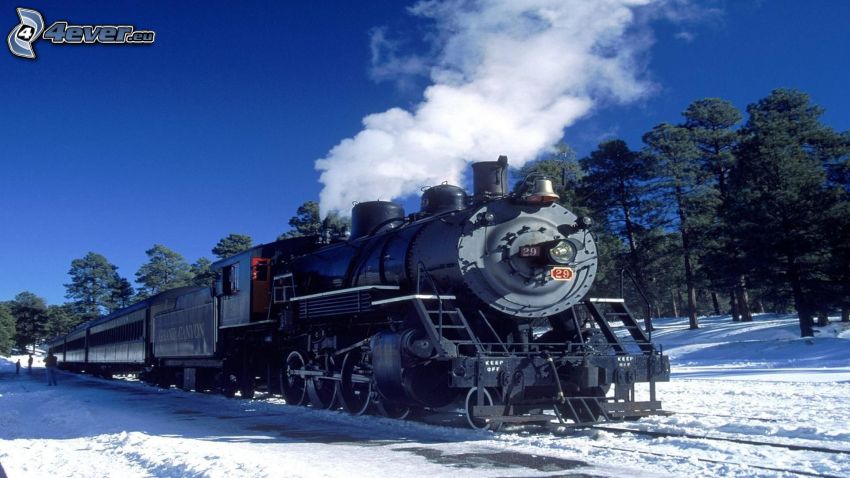 steam train, snow, trees
