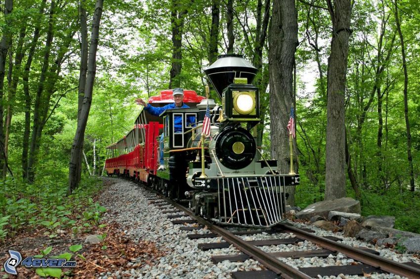 train, locomotive, forest