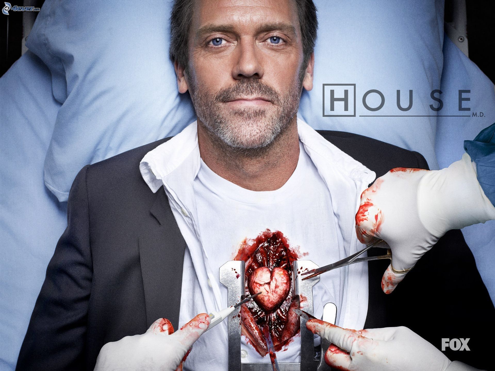 http://4everstatic.com/pictures/art/movies/dr-house,-heart-168657.jpg