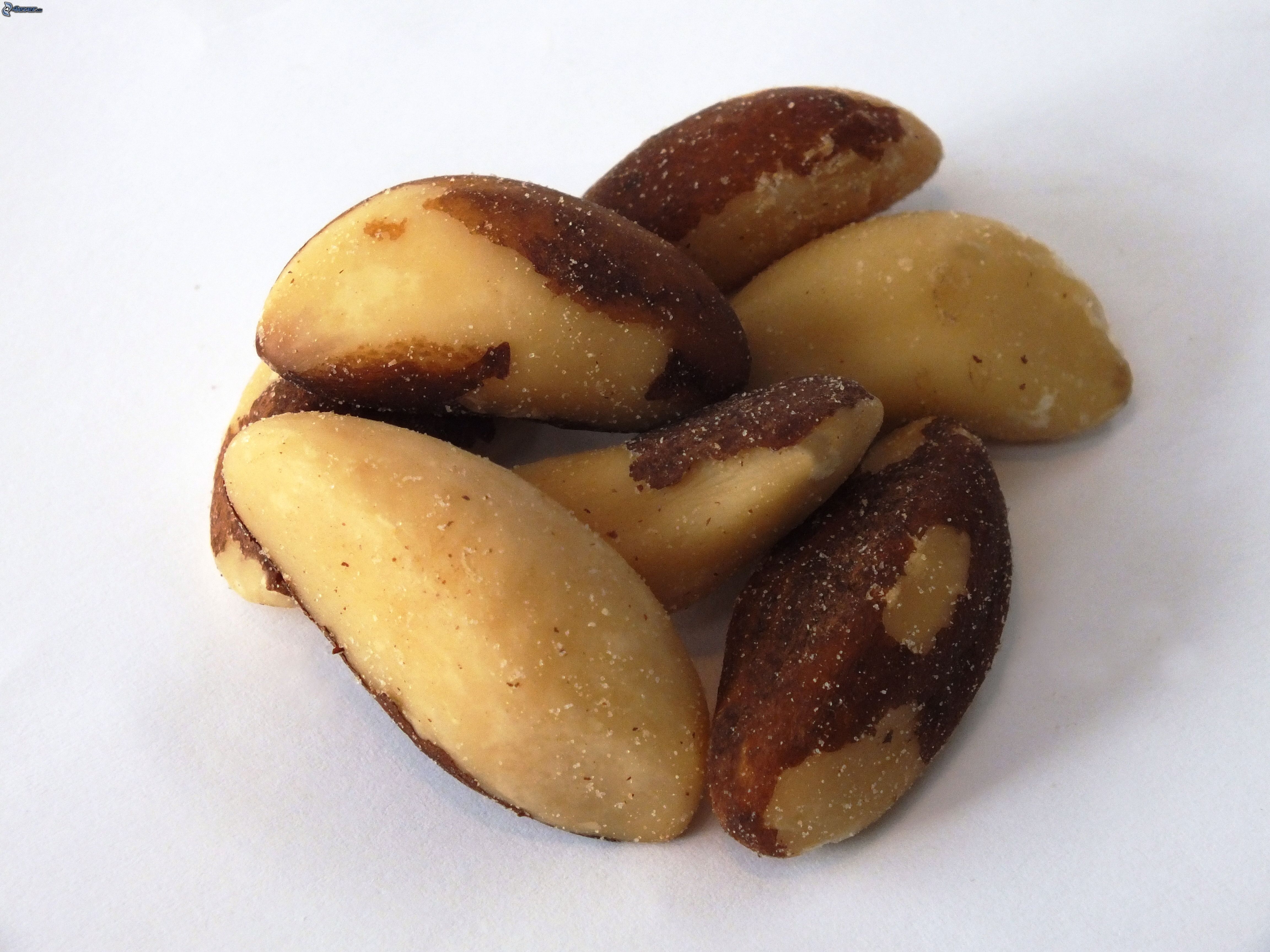 Бразильский орех акажу